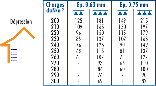 82-BARDAGE-NERBA-6.25-5